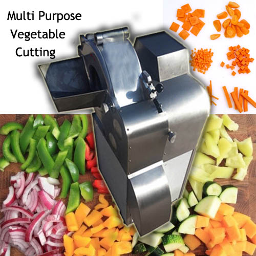 Vegetable Cube Dicing Machine, Vegetable Process