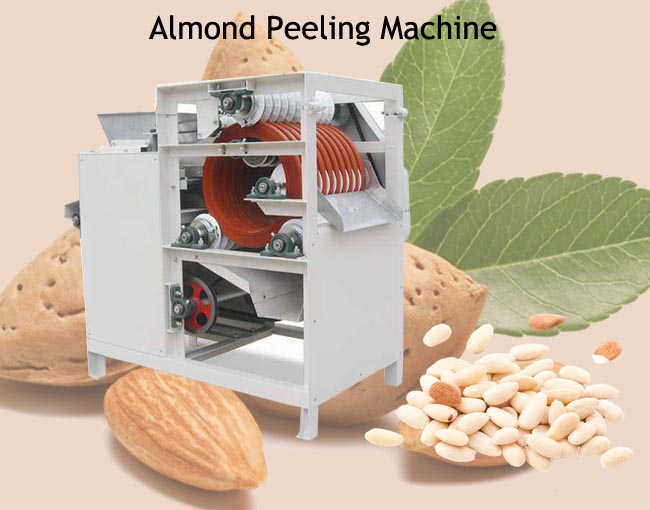 almond peeling machine video